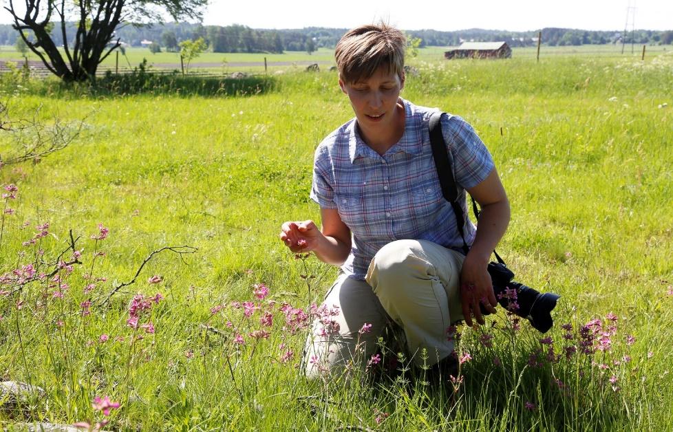 maatalousympäristön ja luonnon monimuotoisuuden tuntemus, mutta toimimme myös kaupungeissa ja taajamissa.