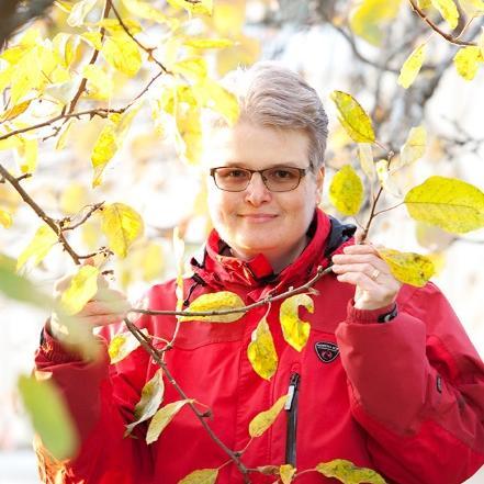 Näin autamme sinut alkuun Energiaseurantapalvelussamme näet kotisi sähkön kulutuksen tunnin tarkkuudella: caruna.