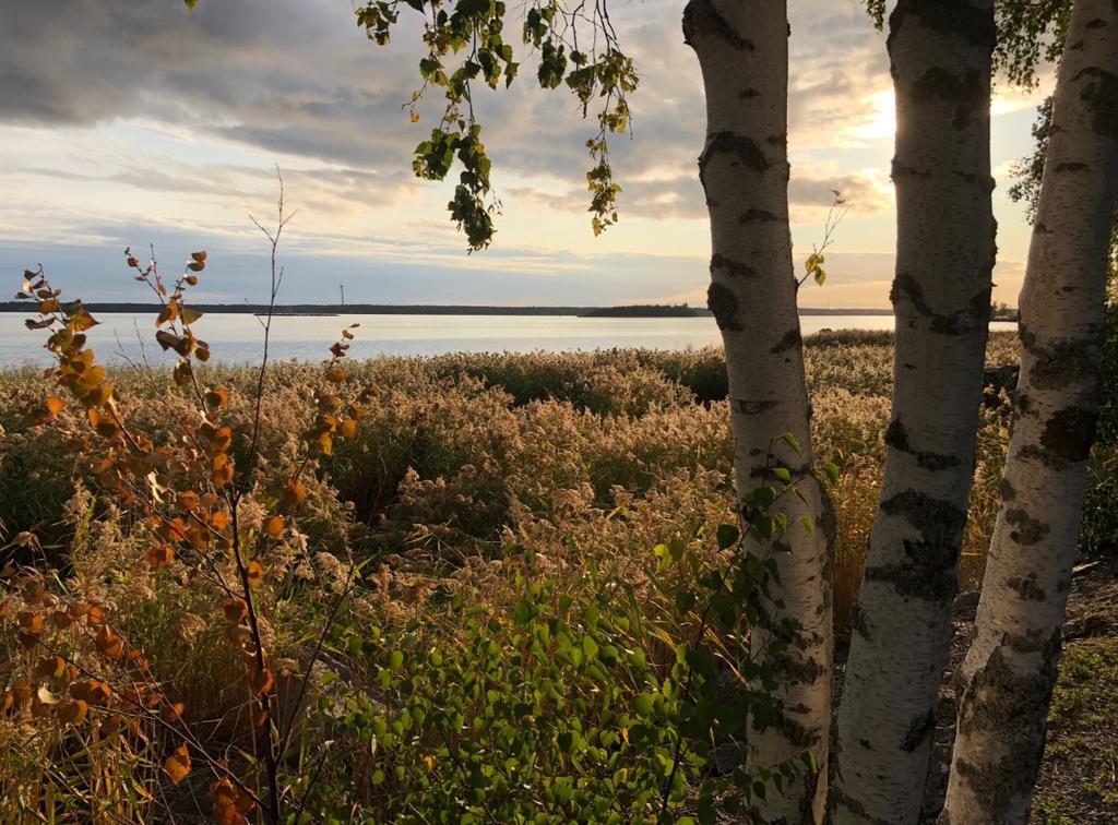 MARINA KINNUNEN POTILASTURVALLISUUS