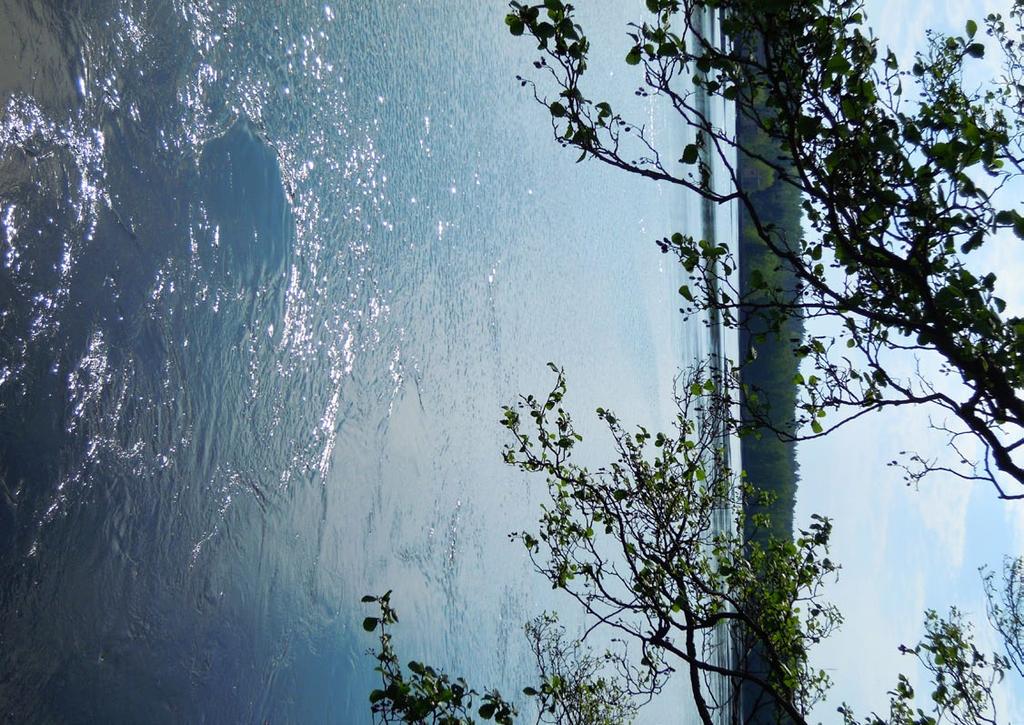 Hyvää