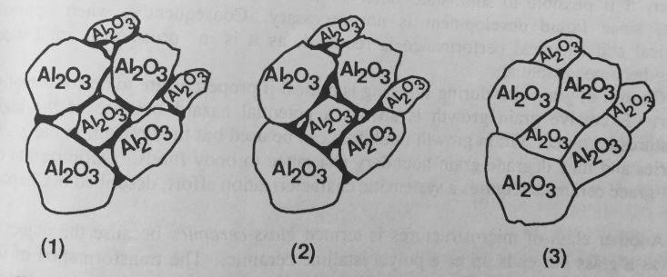 kiinteäfaasisintrauksella (Hench & Wilson 1993, 19-20).