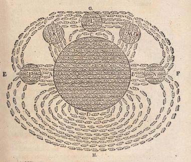 have now to be sought, arising from magnetick vigour and from the confederated bodies; that