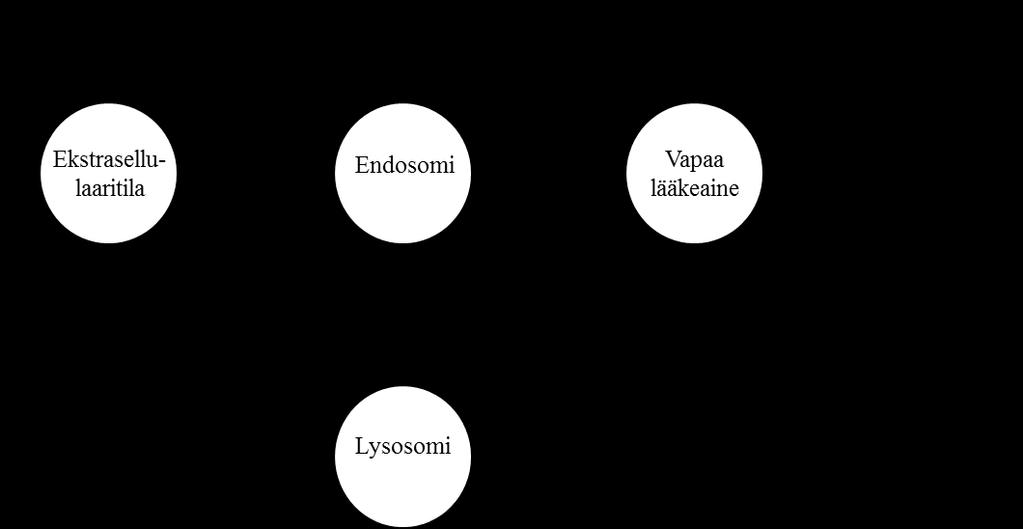 38 suurentuneeseen läpäisevyyteen tai liposomien ja vesikkeleiden fuusioitumiseen näiden organellien kalvojen kanssa.