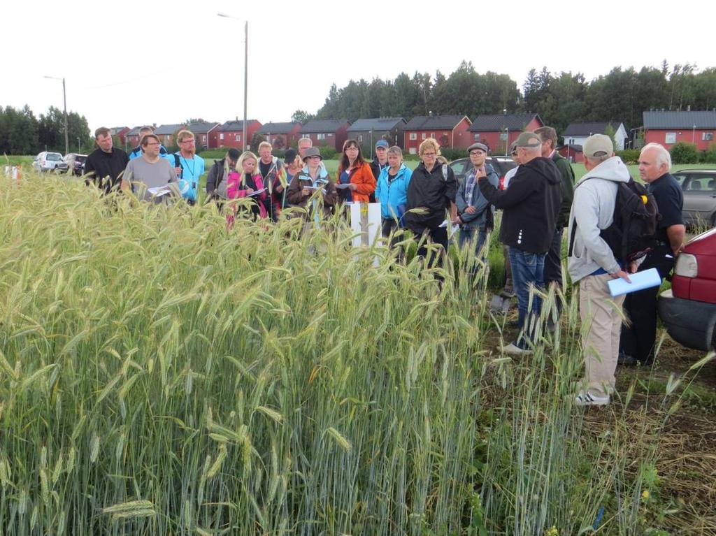 Tiedottamista ja tiedonvaihtoa Hanketta toteutetaan yhteistyössä viljelijöiden kanssa Ratkotaan yhteistuumin maatalouden vesiensuojelua koskevia kysymyksiä Yhteistyötä tutkimuslaitosten, muiden