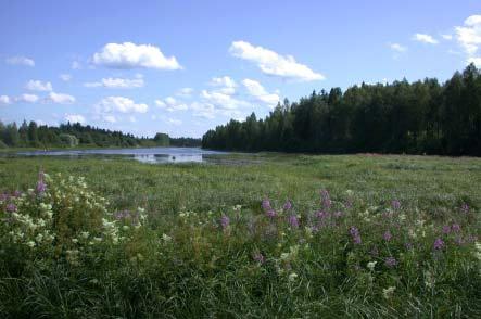 46 Sari Savolainen Luonnon monimuotoisuuden yleissuunnitelma