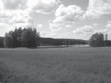 Metsäsaarekkeet maisemallisesti merkittävällä peltoaukealla. keelle on kasattu hiekkaa ja puusto on harvaa. Aluskasvillisuus sen sijaan on korkeaa ja erittäin rehevää.