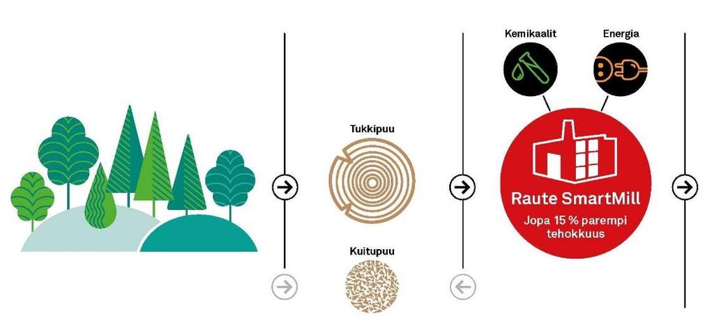 Raute on osa puunjalostuksen arvoketjua Kestävä metsänhoito.