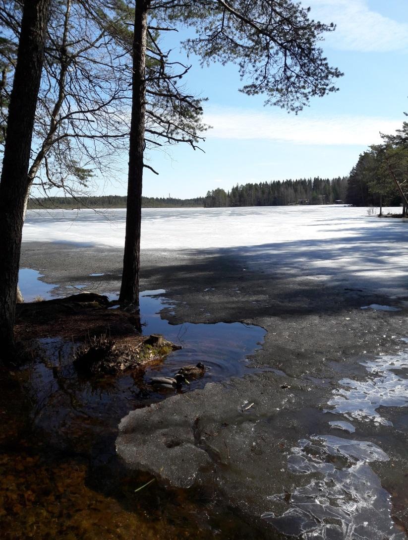 Tähän mennessä ilmoittautuneet palveluntuottajat Coronaria Oy (Lahti) Juho Nummenmaa (Hämeenlinna/ Lammi;