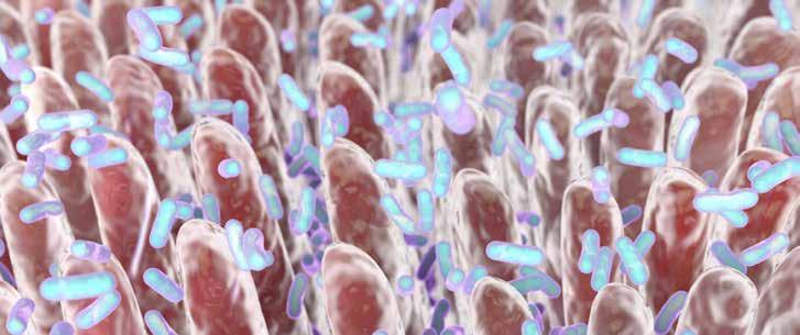Suoliston salaisuudet Suoliston bakteerit ovat viime vuosien aikana muuttuneet yhä vastustuskykyisemmiksi antibiooteille. Myös ripulia aiheuttavat bakteerit ovat entistä vastustuskykyisempiä.