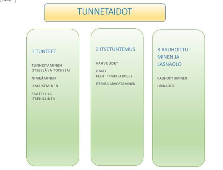 11 Susanna Raivio Tunteet Tunteet ohjaavat toimintaamme ja niillä on tärkeä rooli kaikessa ihmisten välisessä toiminnassa.