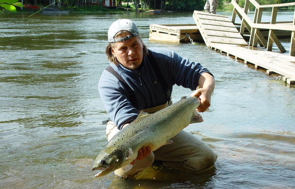 vaelluspoikasta vuodessa. Korkeakosken yläpuolista aluetta voidaan kehittää myös matkailukalastuskohteena. Tässä väliraportissa on koottu yhteen vuosien 2004 ja 2005 keskeiset tulokset.