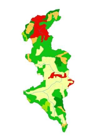 Talviaikainen kasvipeitteisyys