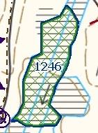 Tutkimusleimikko 1 ja koeasetelma, syksy Ura 1 Ura 7 Tutkimusleimikko 1 sijaitsi Ilomantsin Naarvassa. 14.11.2017 lunta 10 cm, lämpötila +/- 0 C.