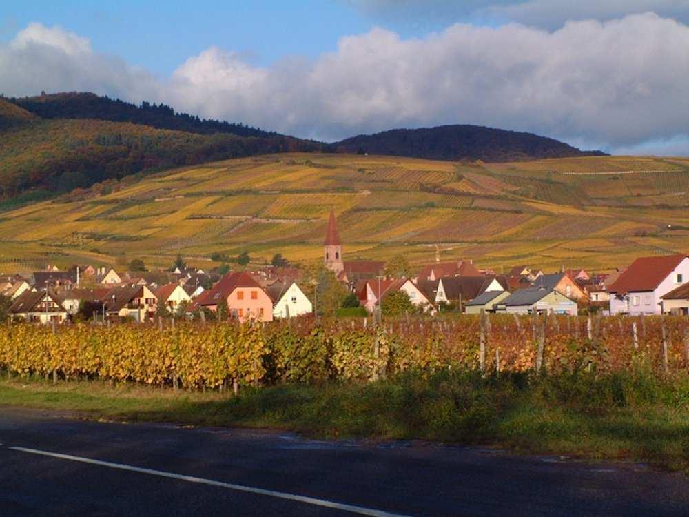 Bourgogne Kerrie ja Xavier de Boissieu Mauzac Nature 2015 AC Gaillac Méthode ancestrale -kuohuviini Rypäle: Mauzac Rose Tuotenro 2927 21,31 75 cl Bernard Plageoles on palau&anut viinikartalle myös