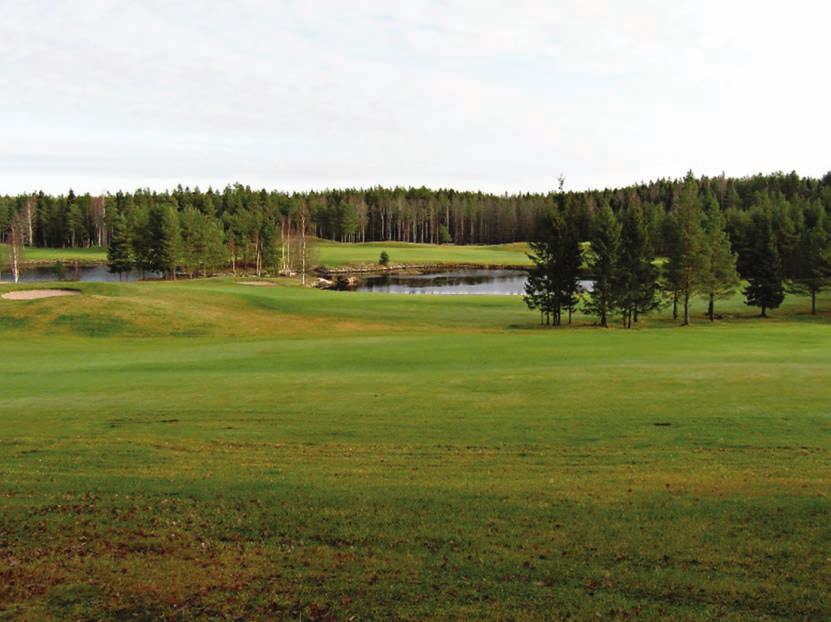 31.3.2010 Osta tai vuokraa Täysin uudet, laadukkaat Golfstudios Benz Terracen vapaa-ajan asunnot sijaitsevat keskellä Nordcenteriä, Benz-kentän äärellä.