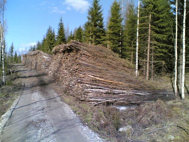 hoidon tuet Metsien rakenteen muutos mahdollistajana: > biomassareservi