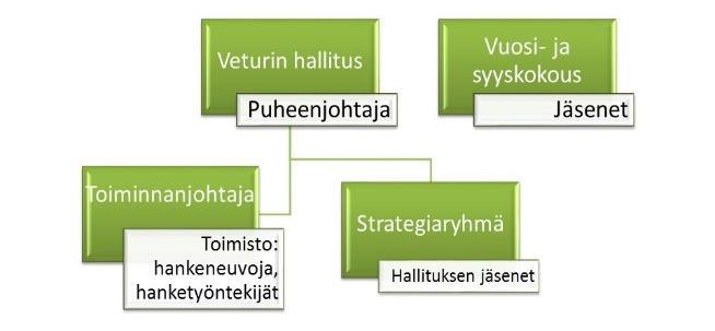 Veturin laatukäsikirjassa toiminta on jaettu kolmeen ydinprosessiin: yhdistystoimintaan, Leader-toimintaan sekä verkostoitumiseen ja edunvalvontaan maaseudun kehittämiseksi.