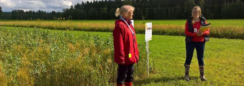 MIKKELI osaaminen Luomututkimus: ilmastonmuutokseen sopeutuminen ja siitä viestintä, tilakoetoiminta, ravinnetalous, bioenergia, Venäjä-yhteistyö, marjat ja vihannekset, ennakointitutkimus,