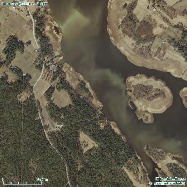 19 Täydennys Lintuluodon luontoarvioon 1.