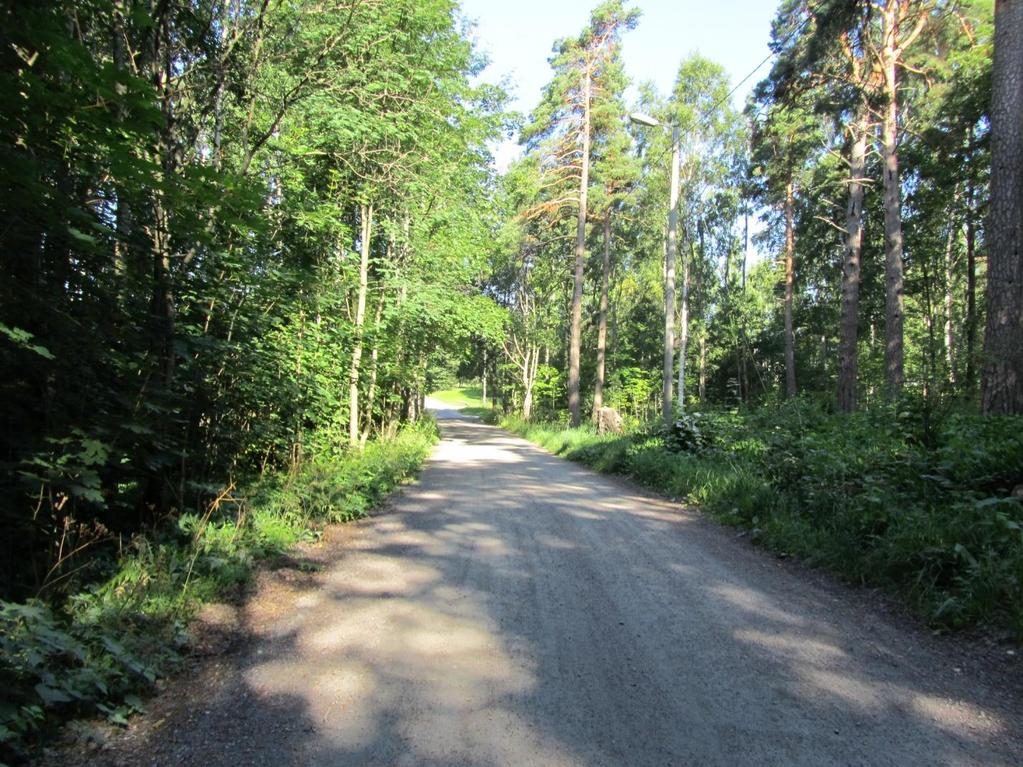 VUOSILLE 2015 2024
