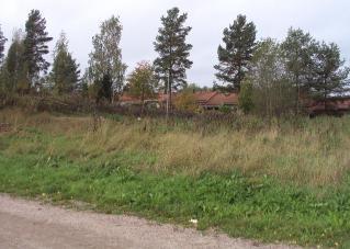 339 Sivu