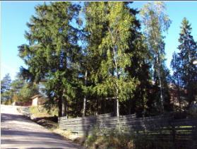 342 Sivu