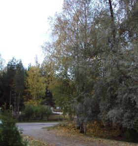 hoitotoimenpiteet Valtapuusto