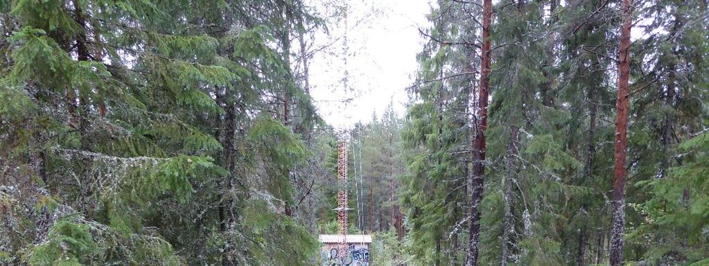 tasainen kallio, joka myös topografian puolesta sopisi rajamerkin paikaksi, mutta maastotöiden yhteydessä sieltä ei löydetty mitään muinaisjäännökseen viittaavaa.