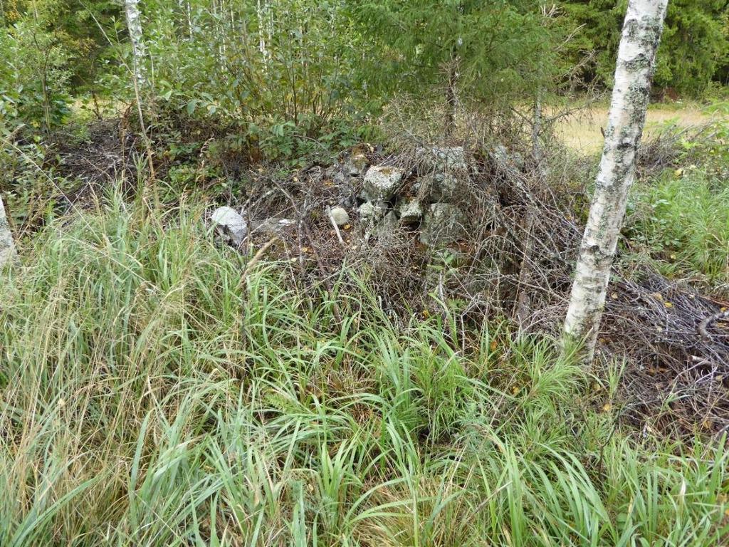 Kuva: Ninni Närväinen Kuva 7.