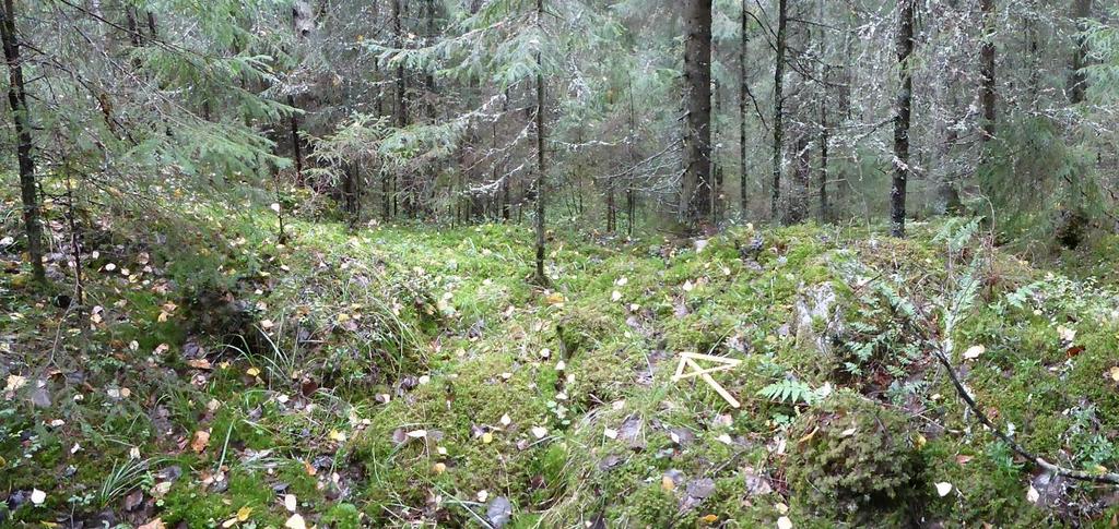 muinaisjäännöksestä. Kuva 15. Muuransuon rajamerkki, KYY297:9.