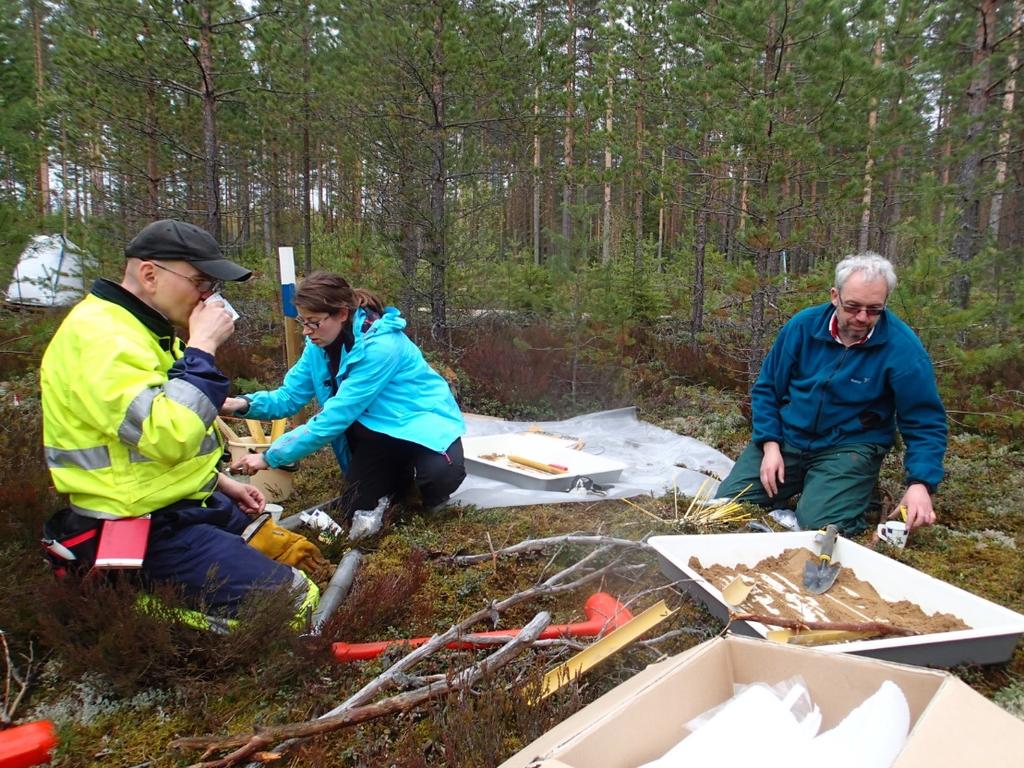 Biohiilen vaikutus hiilen kiertoaikaan maaperässä 4 koealaa jokaisessa käsittelyssä 9