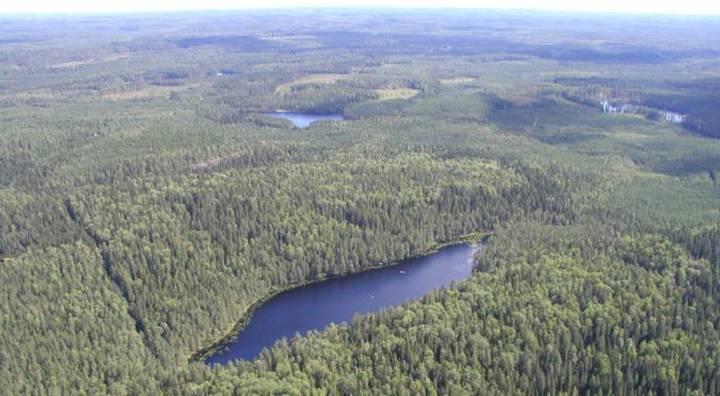 Maaperän rooli hiilen kierrossa Boreal forest soils