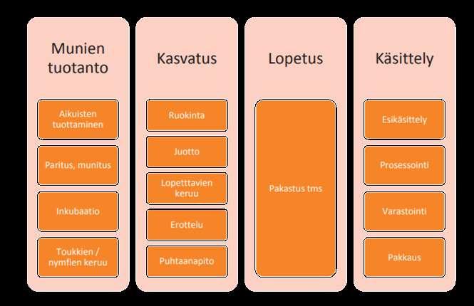 Vaatimukset rakennukselle TILAN TOIMINNALLISET VAATIMUKSET Suomalaiset hyönteiskasvattamot pitävät sisällään koko tuottamon toiminnat, jotka ovat: 1)