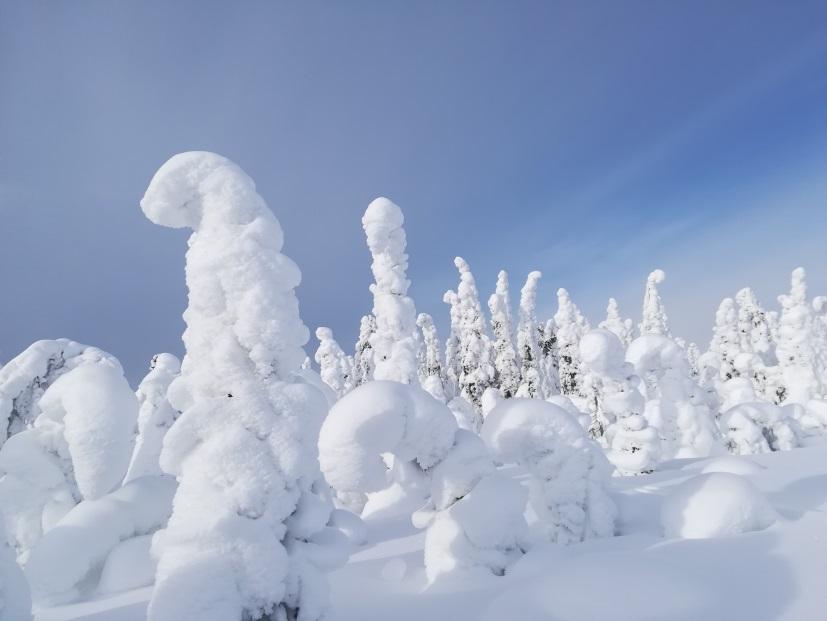 odottavat Maksut ja