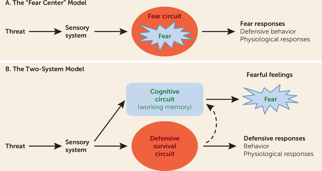 Copyright American Psychiatric Association. All rights reserved. From: Using Neuroscience to Help Understand Fear and Anxiety: A Two-System Framework Joseph E. LeDoux and Daniel S. Pine.