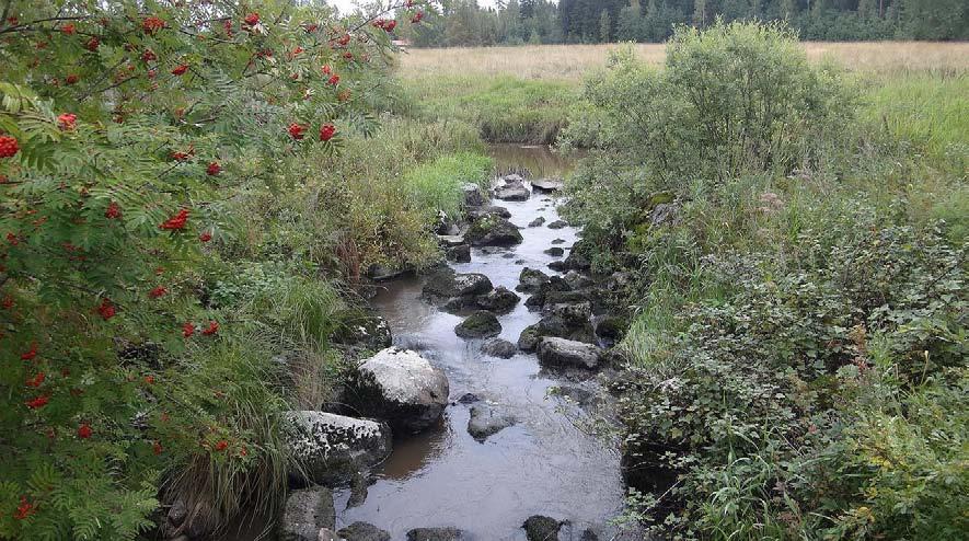 Alueella olevia kiviä käytetään siten, että pohjakynnyksen pituutta kasvatetaan virtaussuunnassa niin, että kynnyksen pudotuskaltevuus pienenee.