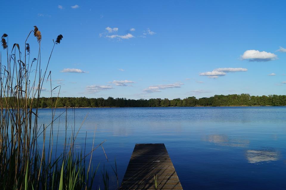 Tammelan lähitorin kesä