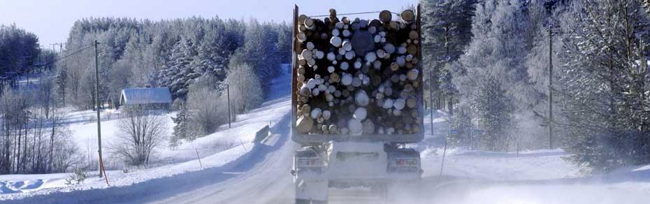 Metsäteollisuuden näkökulma raskaiden ajoneuvojen uudistukseen Suomessa