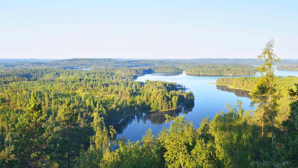 Metsäohjelman seuranta Pohjois-Karjala Leena