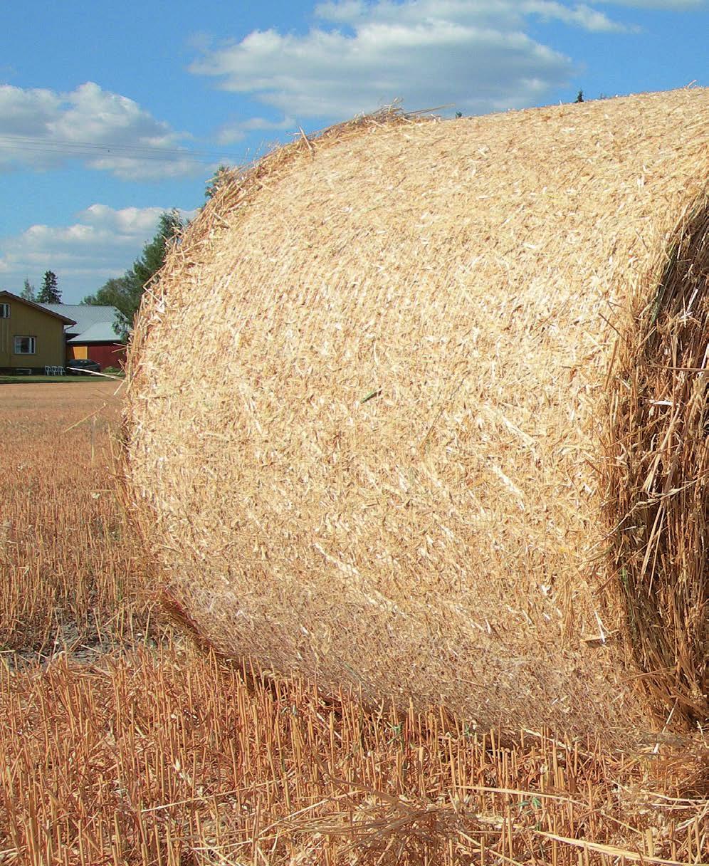 NOUKINVAUNUN JA PYÖRÖPAALAIMEN TERÄT KRONE S2827321 282.732.1 P 305, L 149 paksuus 5 Yhteensopivuus: Big Pack 80/80, 120/70, 120/80 Multi Cut, 88, 127, 128 TAARUP S631174
