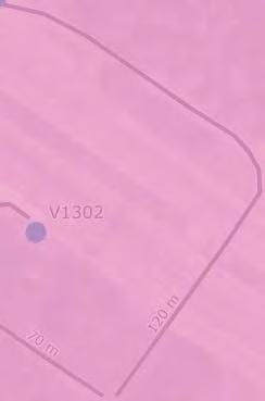 hissi Reitillä yksittäisiä haasteita 0 2 4