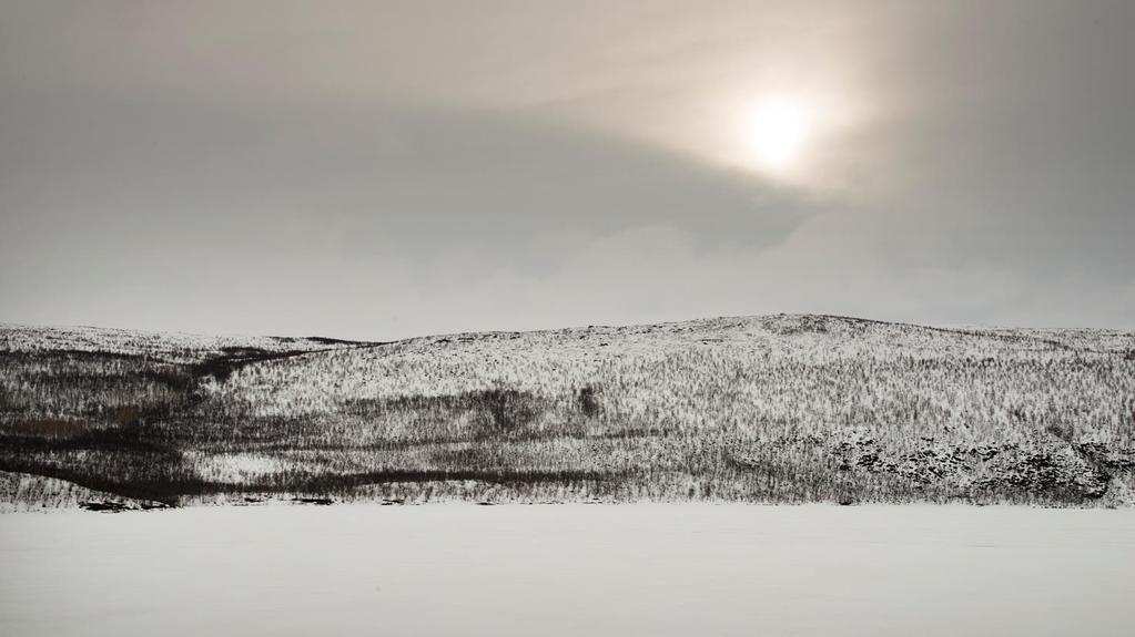 Suomen arktisten vesien tila