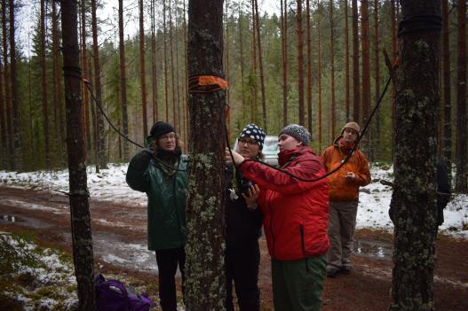 Kuva Punnusrasti työn alla tässäkin.