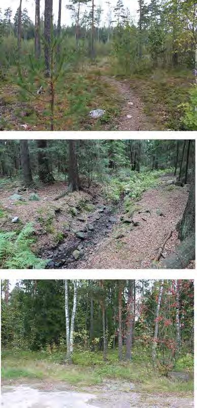 Koddervenin puoleisessa metsössä ulee poluja ja alueen halaisee vanha sähölinjan auo. Lähellä tietä on rosattu alue, jolla on mm. autonrenaita ja pulloja. Luonnonympäristö.