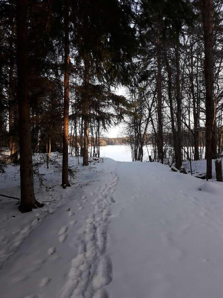 1.13 Asema- ja ranta-asemakaavat Alueella on voimassa Eerolan ja Metsä-Eerolan tilojen ranta-asemakaava, joka on vahvistettu 20.9.1995 Kaakkois-Suomen ympäristökeskuksen päätöksellä.