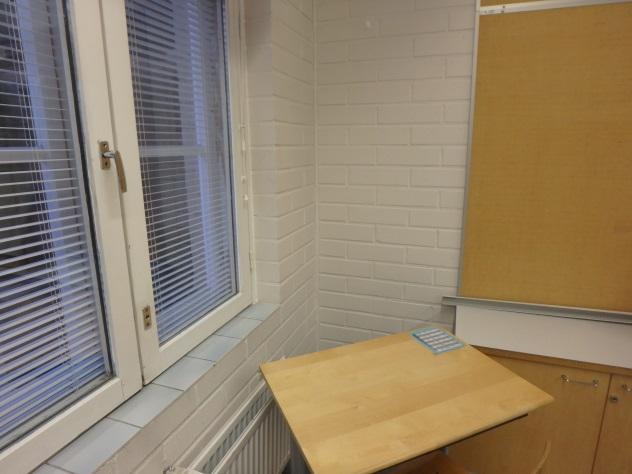 Koira ilmaisi ikkunapenkin ja ikkunan liitokseen. Kuva 28.