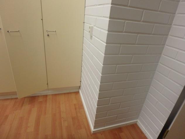 Koira ilmaisi pöydän alla