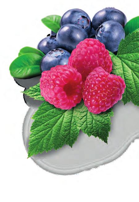 flavonoidit 2,5 dl 1003676 me 15