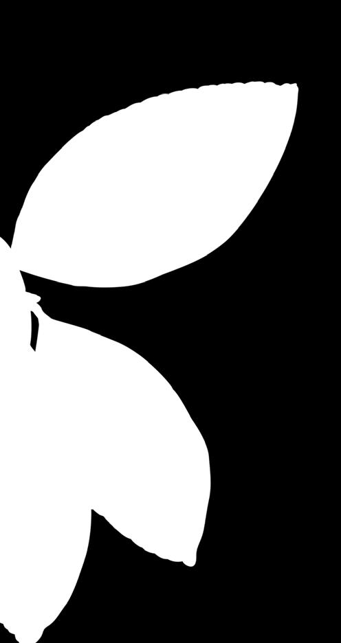 smoothieta: Energia,
