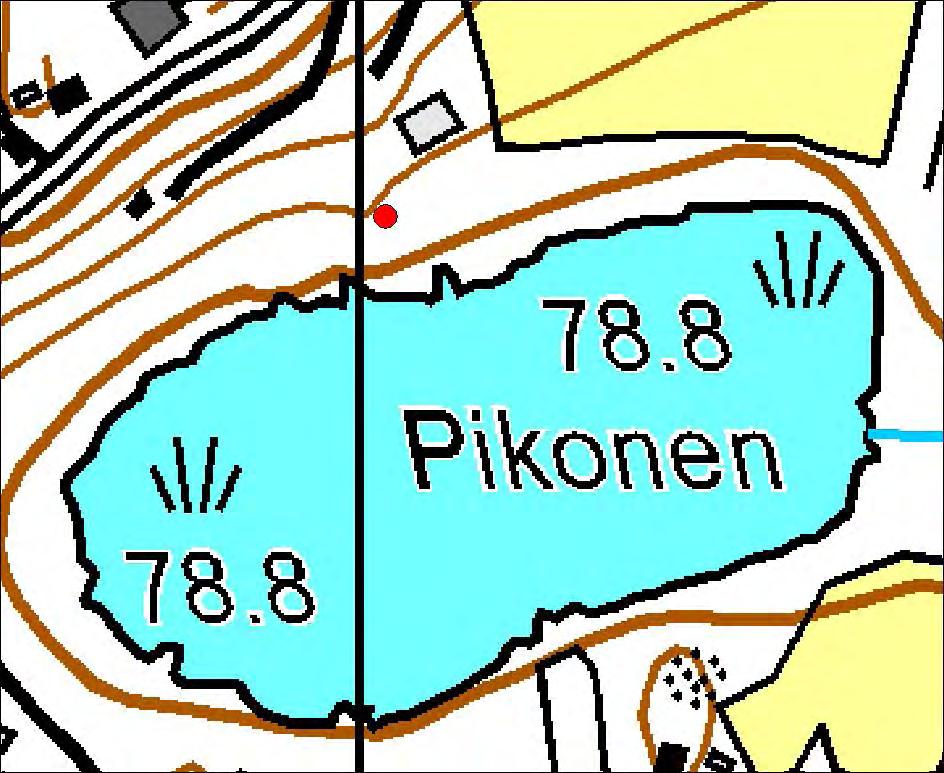 Huhtikuun maastokäynnillä havaittiin ruokaileva valkoselkätikkanaaras Pikosen pohjoisrannalla. Havaintopaikka on merkitty kuvaan 1. Valkoselkätikka on luokiteltu (Rassi ym.